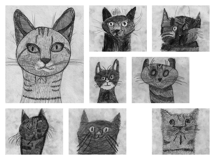 Kattenkop-B